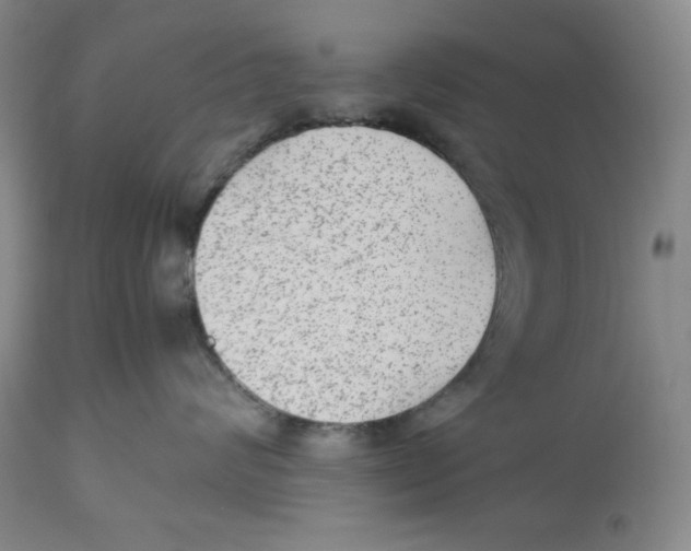 X0000112510624200909141201