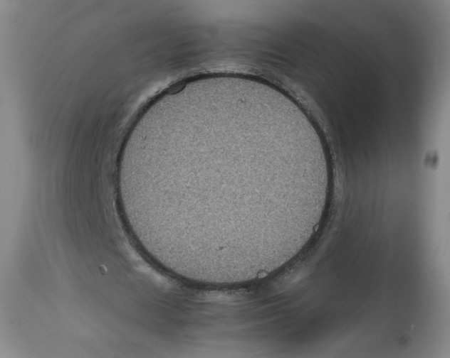 X0000112510625200909141200