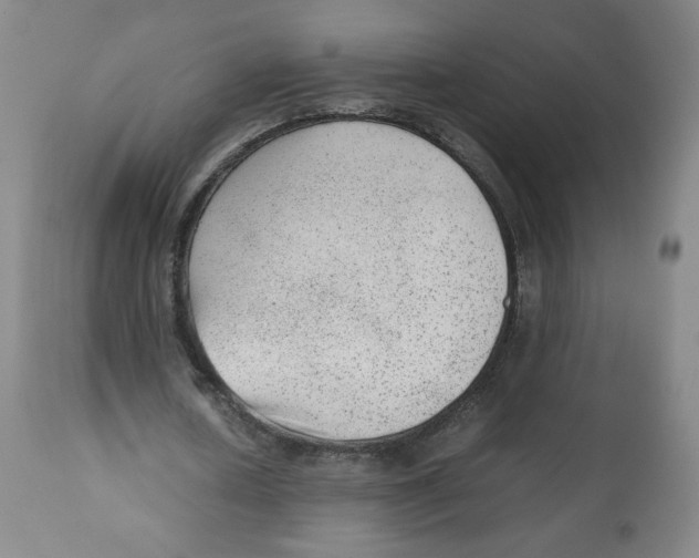 X0000112510626200909141200