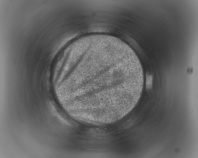 X0000112510627200909141200