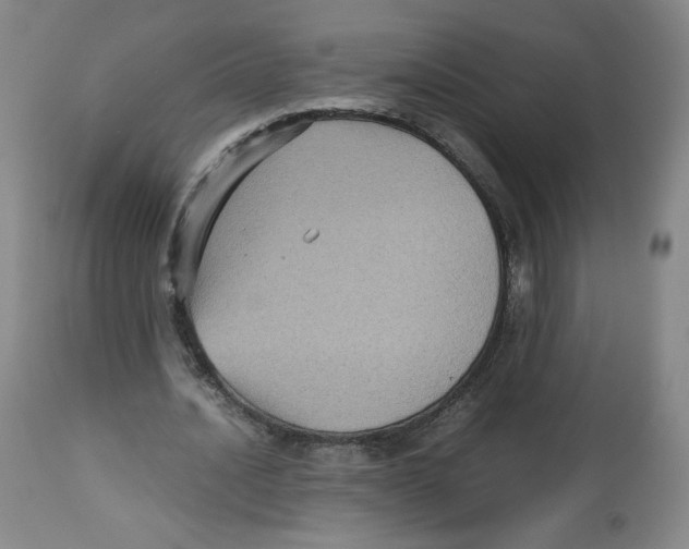 X0000112510628200909141200