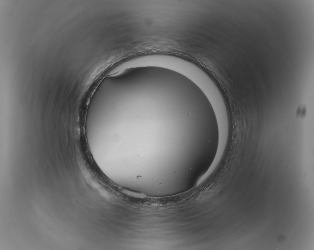 X0000112510634200909141200