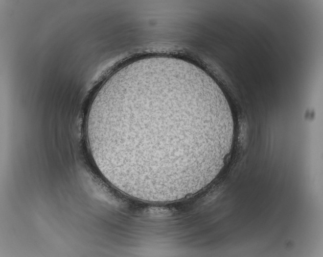 X0000112510636200909141200