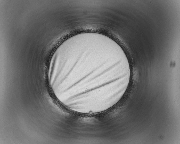 X0000112510637200909141200