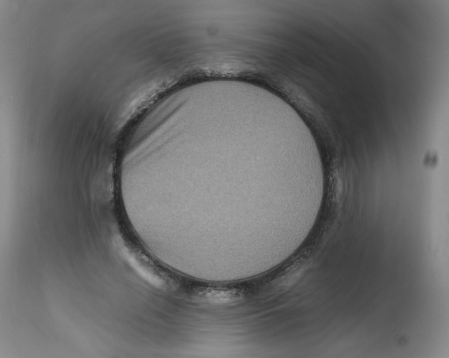 X0000112510638200909141200