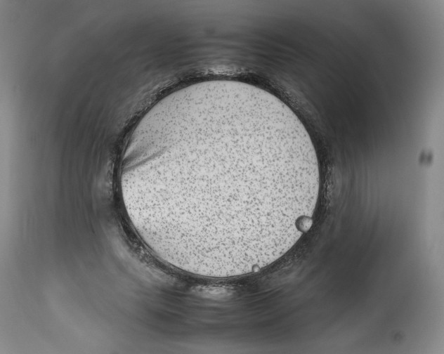 X0000112510639200909141200