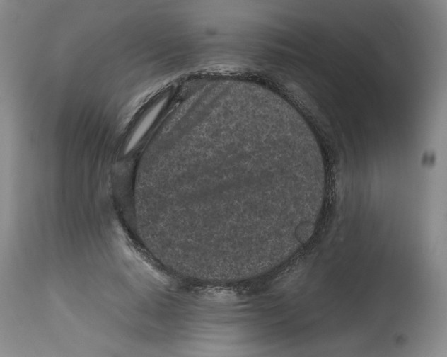 X0000112510640200909141200