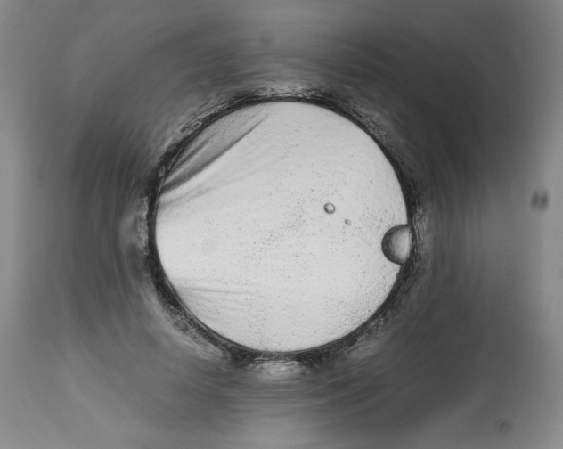 X0000112510642200909141200