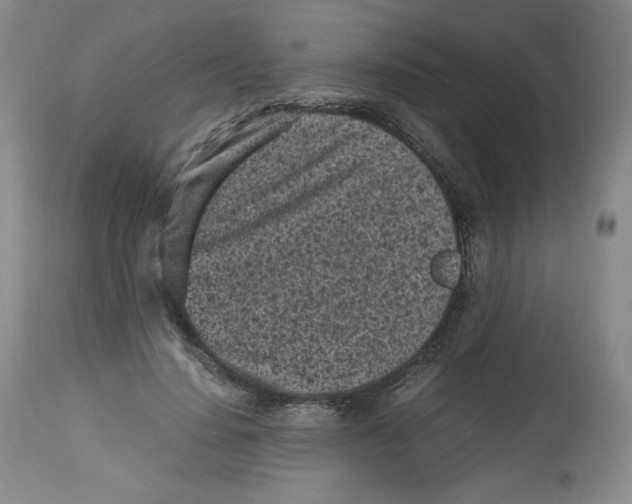 X0000112510644200909141200