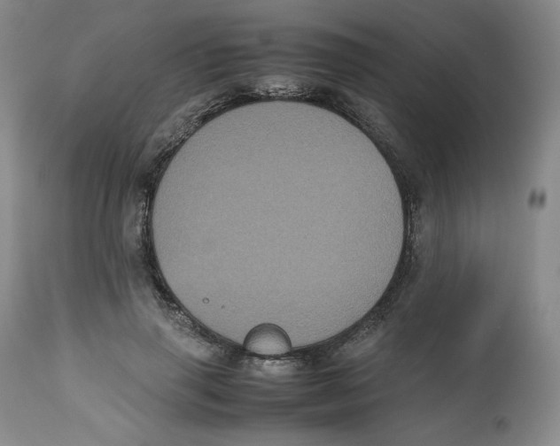 X0000112510645200909141201