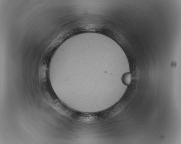 X0000112510646200909141201