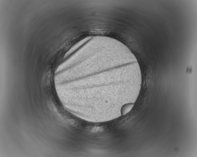 X0000112510647200909141201