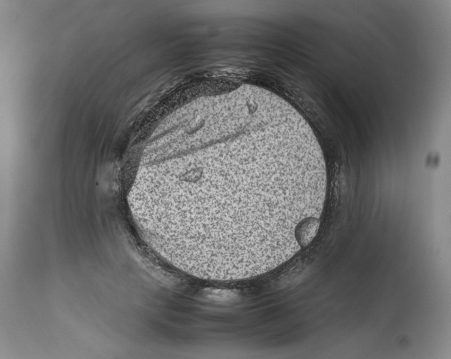 X0000112510649200909141201