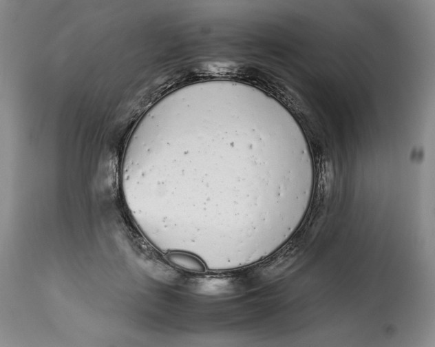 X0000112510651200909141201