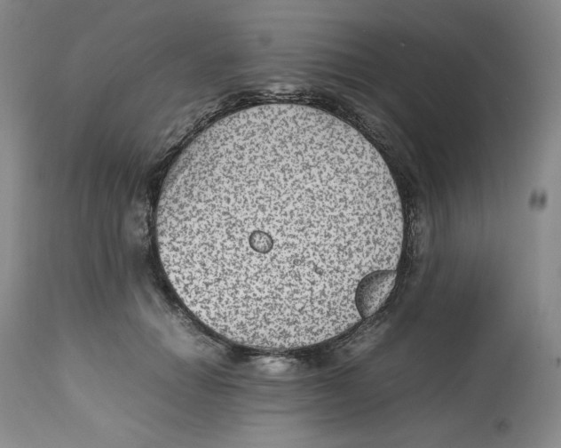 X0000112510654200909141201