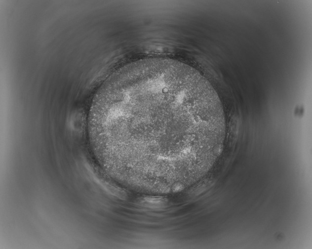 X0000112510659200909141201