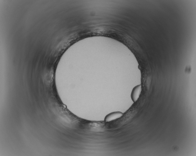 X0000112510660200909141201