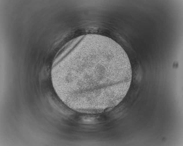 X0000112510661200909141201