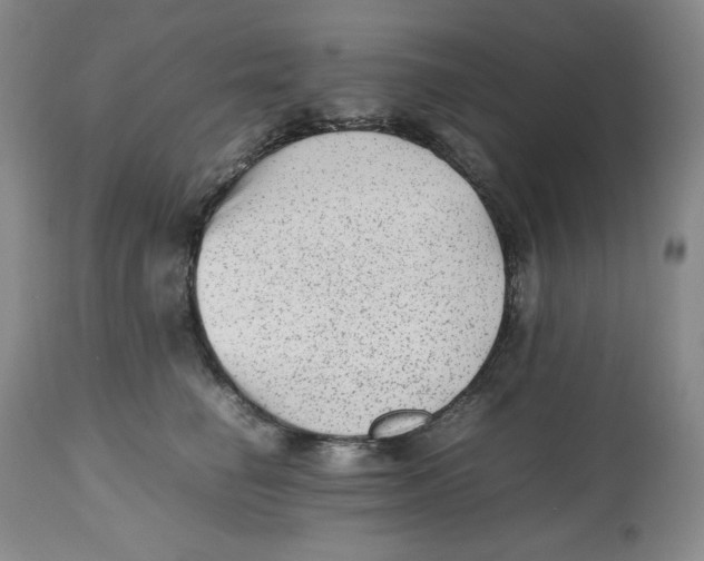 X0000112510662200909141201