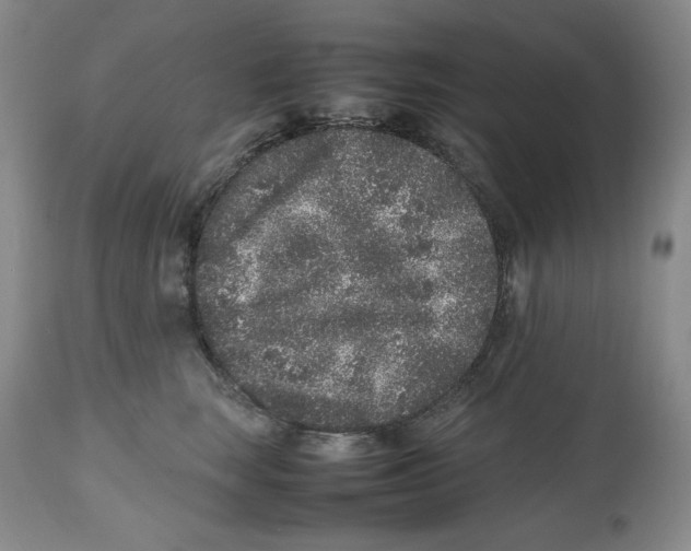 X0000112510663200909141201