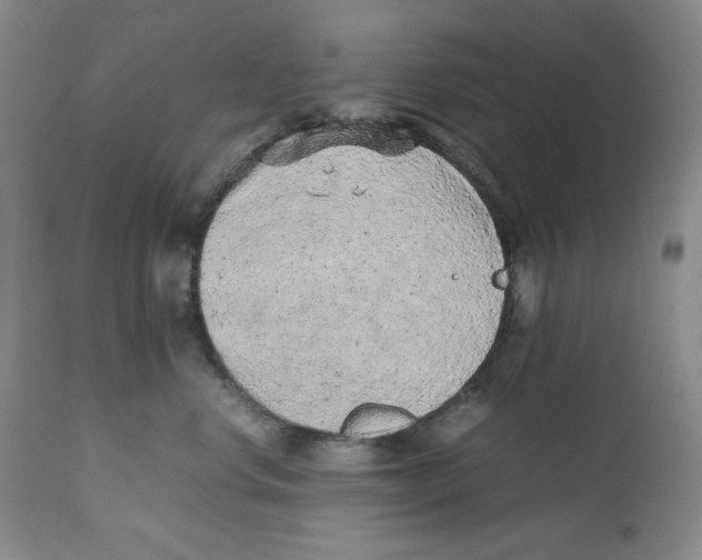 X0000112510668200909141201