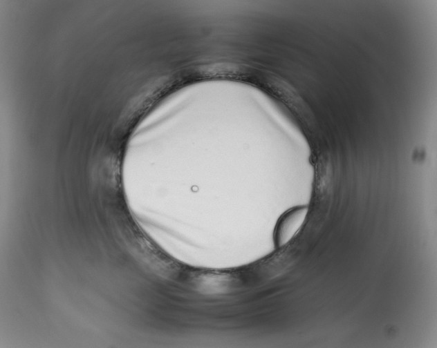 X0000112510669200909141201