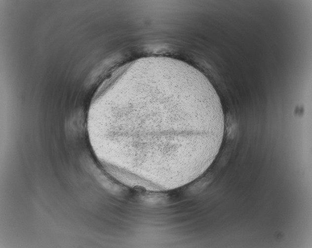 X0000112510670200909141201