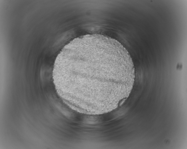 X0000112510671200909141201