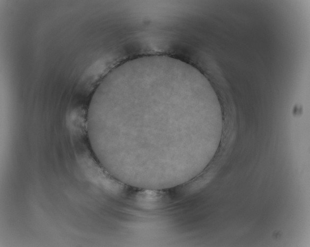 X0000112510672200909141201