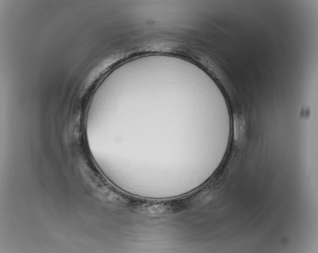 X0000112510675200909141200