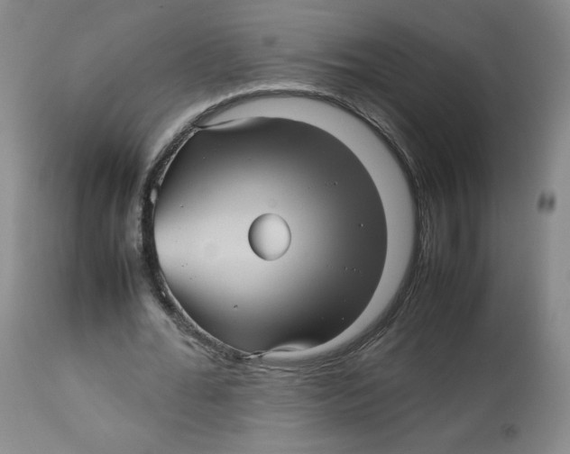 X0000112510676200909141200