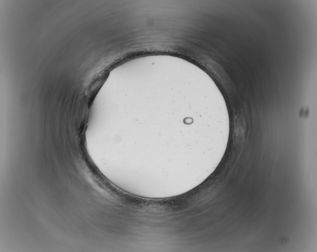 X0000112510677200909141200