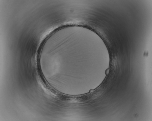 X0000112510678200909141200