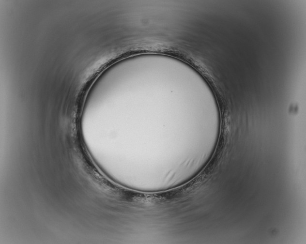 X0000112510679200909141200