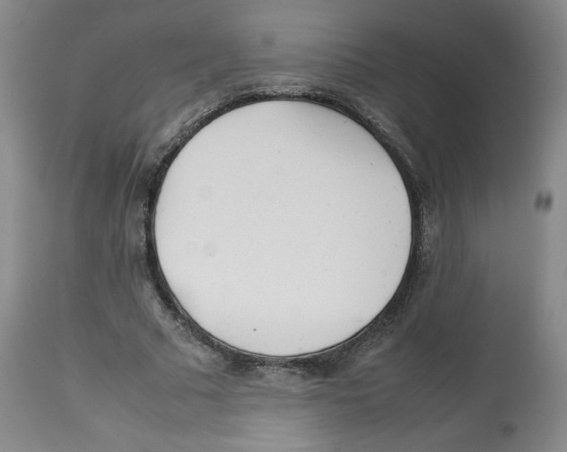 X0000112510681200909141200