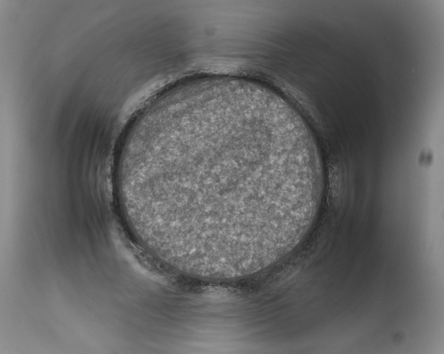 X0000112510682200909141200