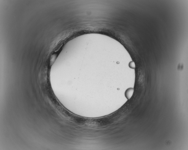 X0000112510685200909141200