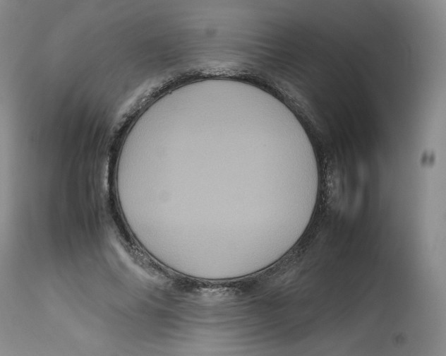 X0000112510686200909141200