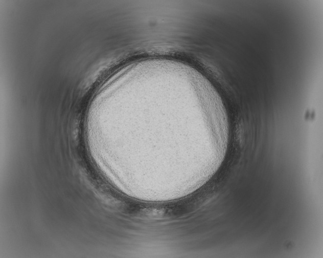 X0000112510687200909141200