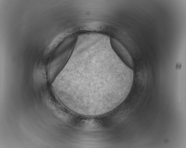 X0000112510688200909141200