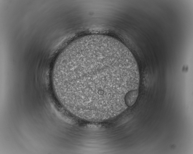 X0000112510690200909141200