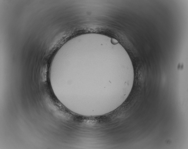 X0000112510694200909141200