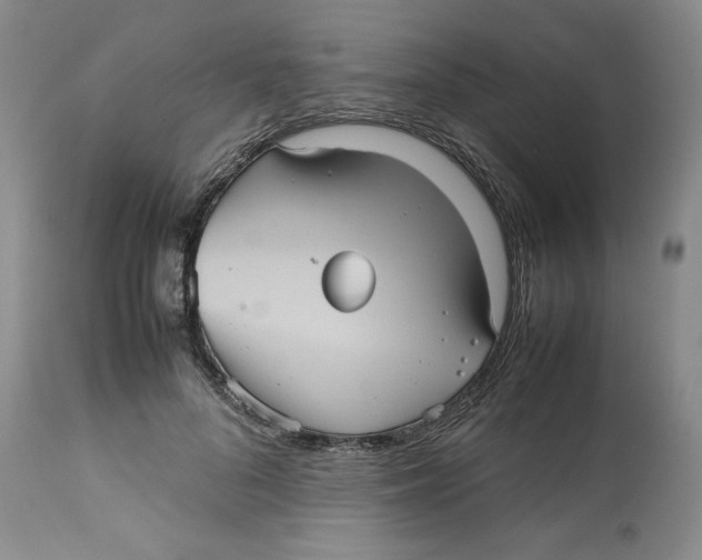 X0000112510696200909141200