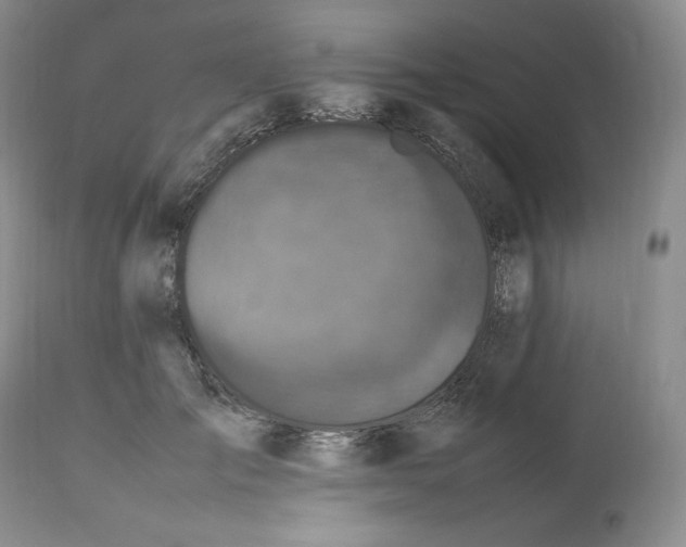 X0000112510701200909141200