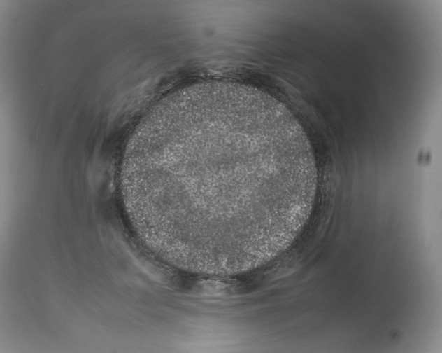 X0000112510703200909141200