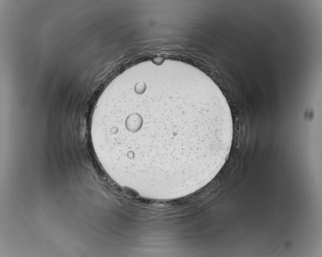 X0000112510704200909141200