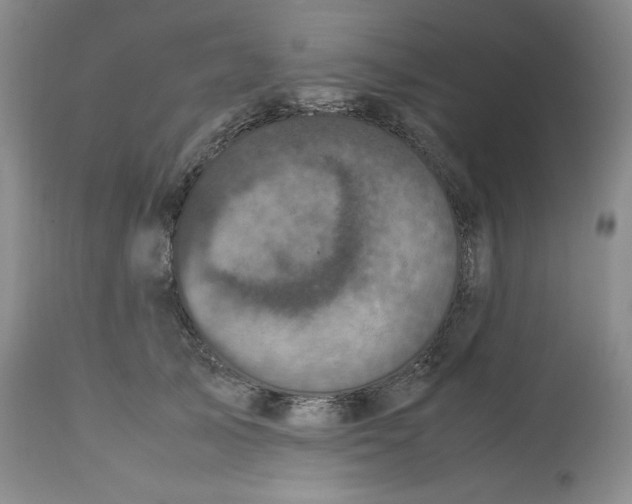 X0000112510705200909141200