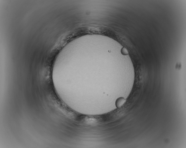 X0000112510706200909141200