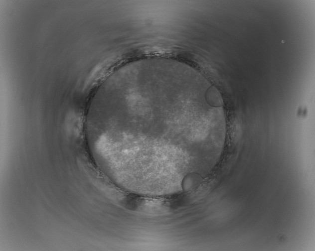 X0000112510709200909141200