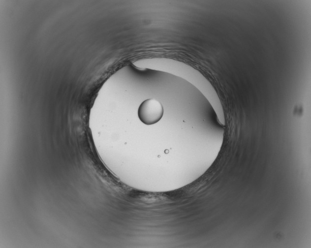 X0000112510712200909141200